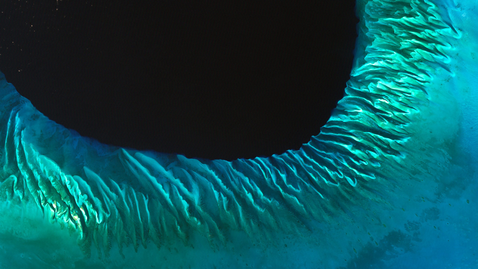 Satellite image of sand and seaweed in the Bahamas