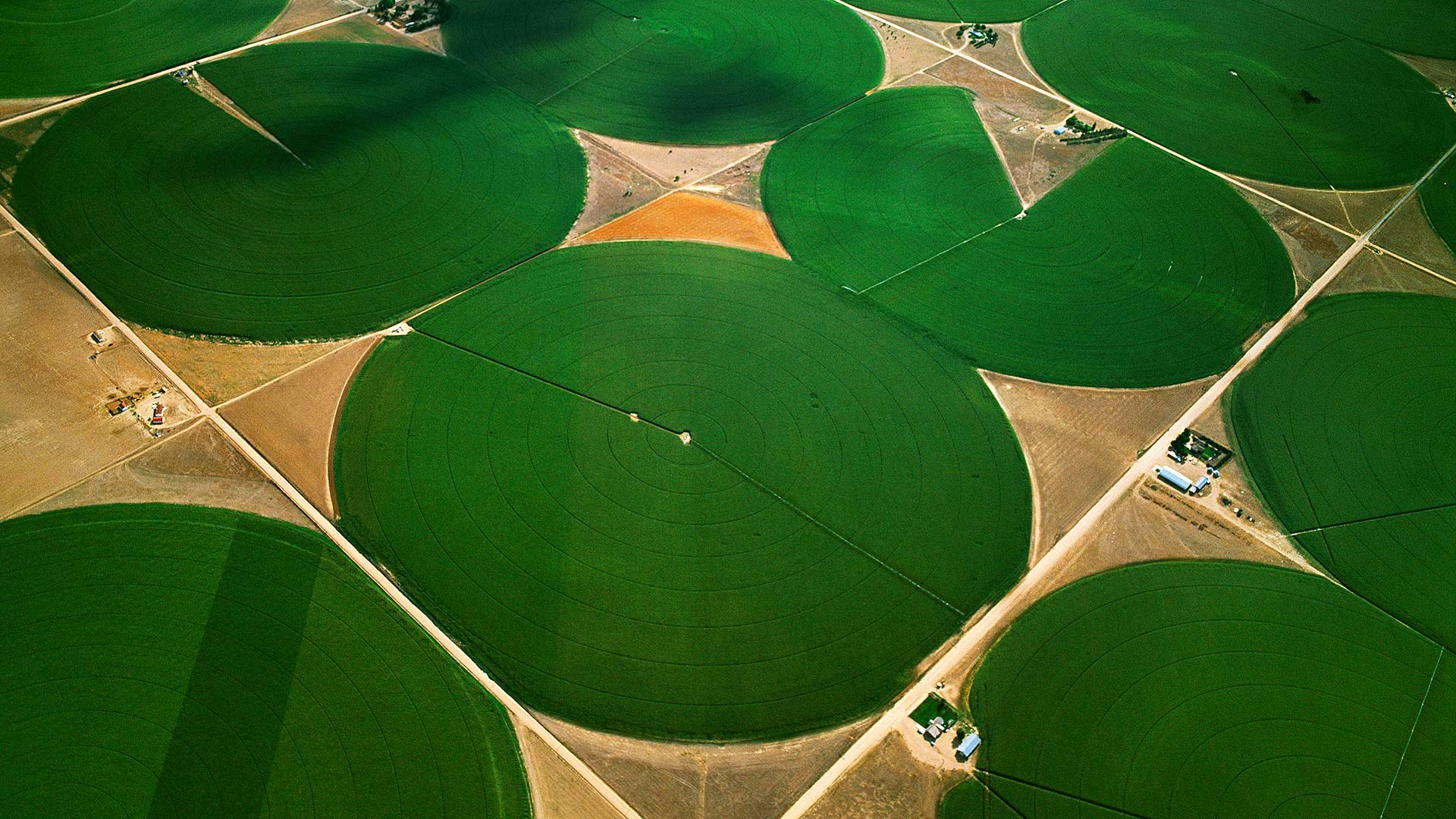 Circular agricultural fields in Morgan County, Colorado