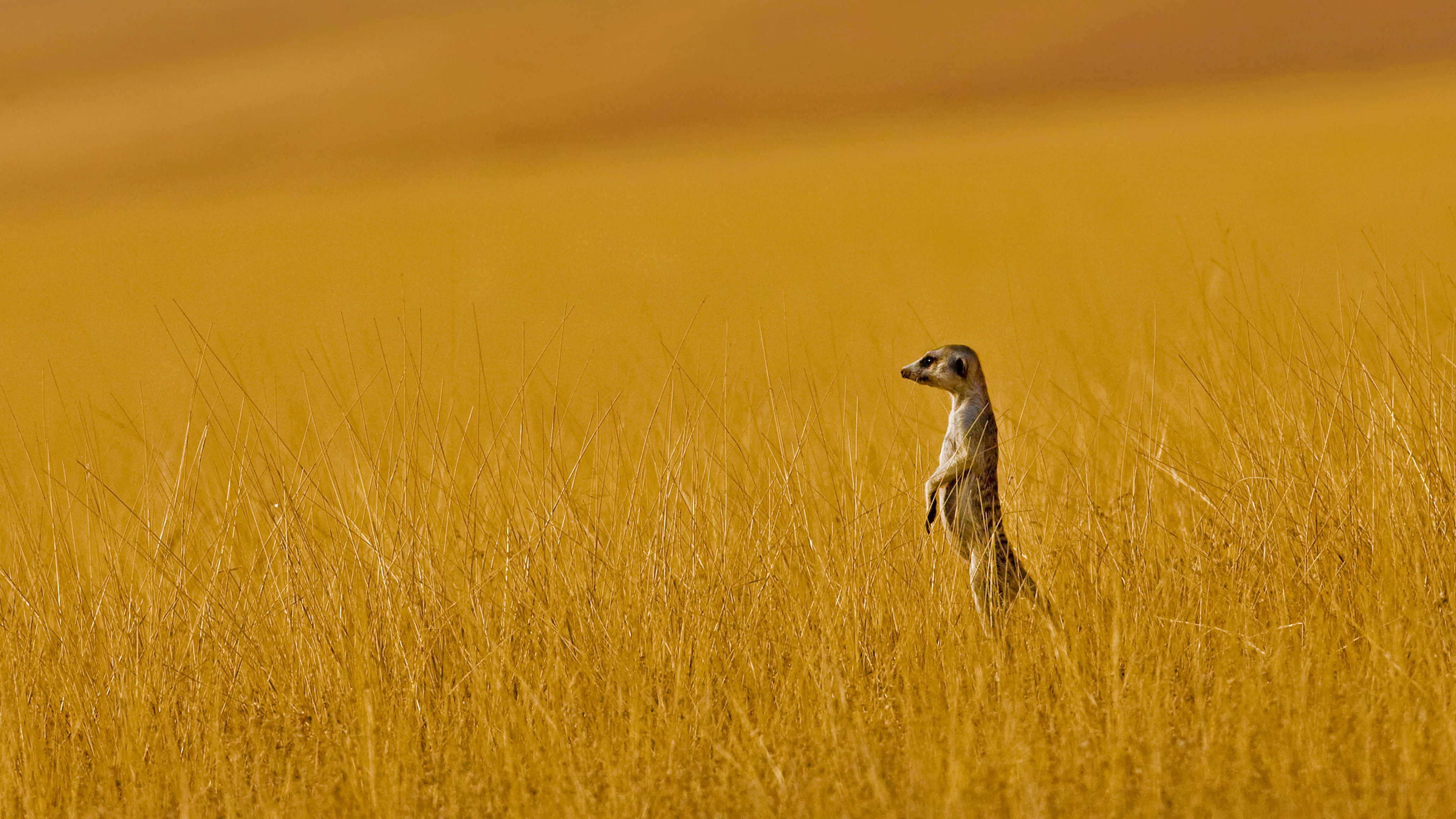 Wakatobi National Park, Indonesia