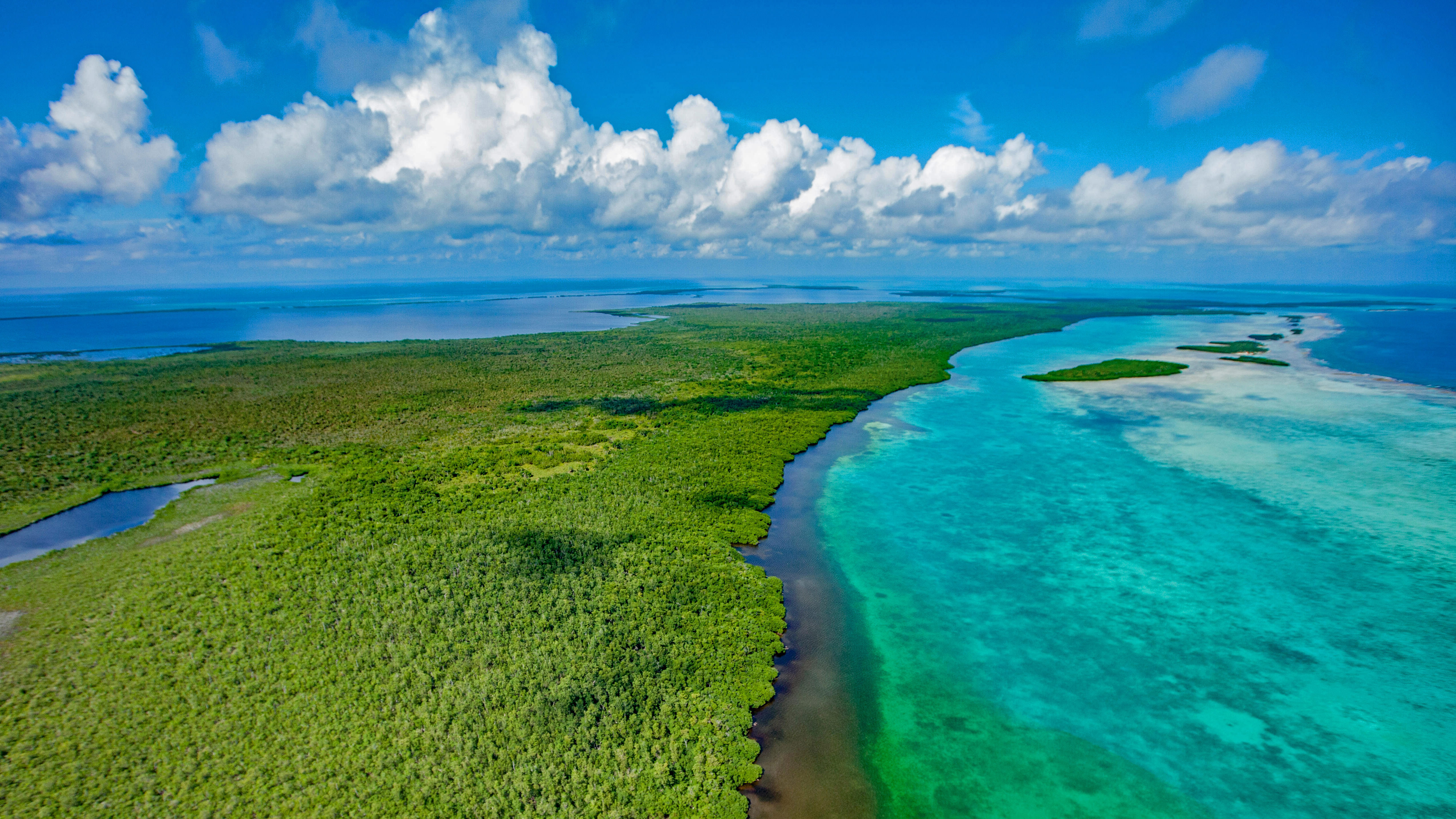 Lighthouse Reef, Blue Hole Natural Monument, Belize