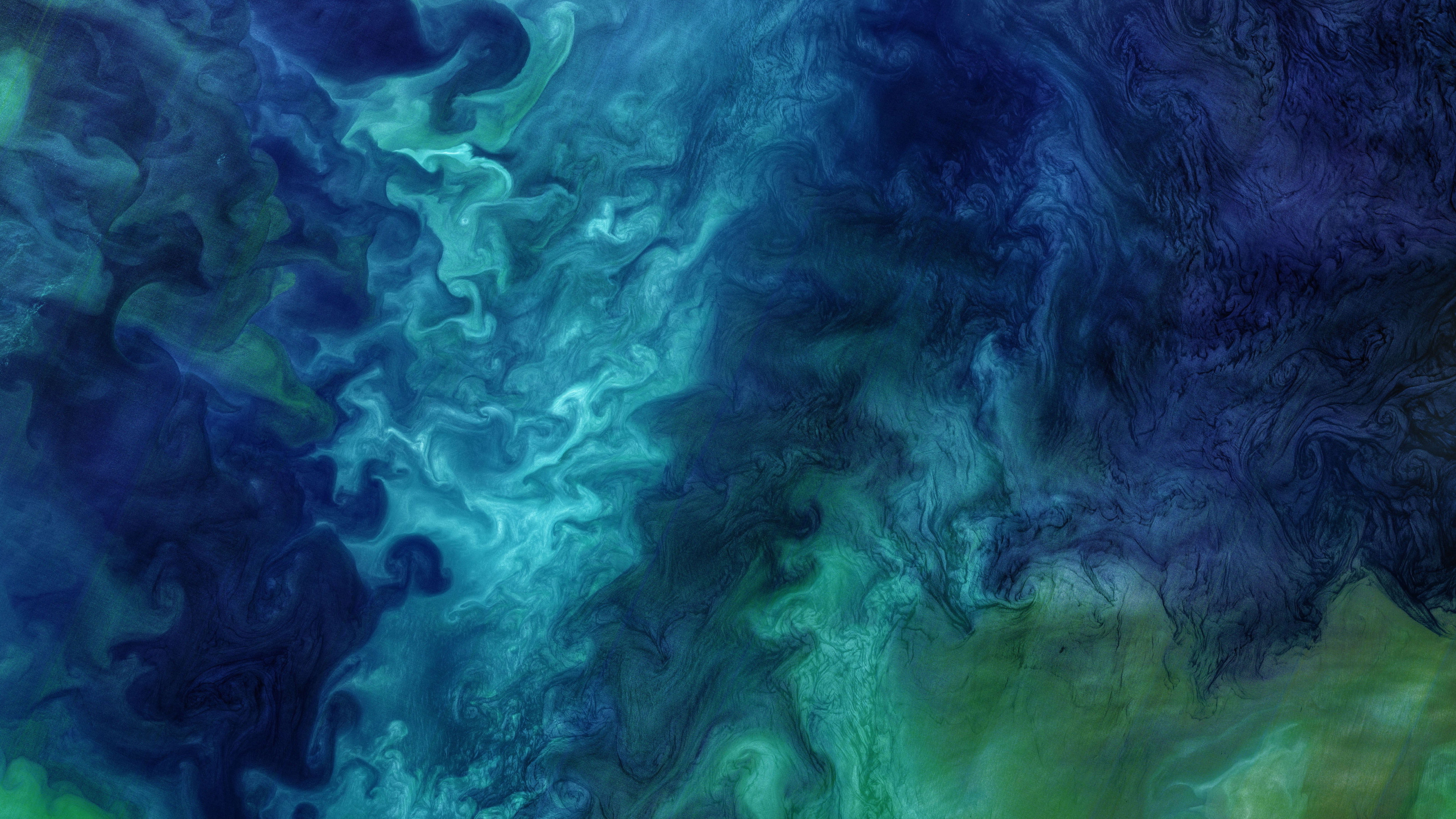 Phytoplankton blooming in the Chukchi Sea off the coast of Alaska