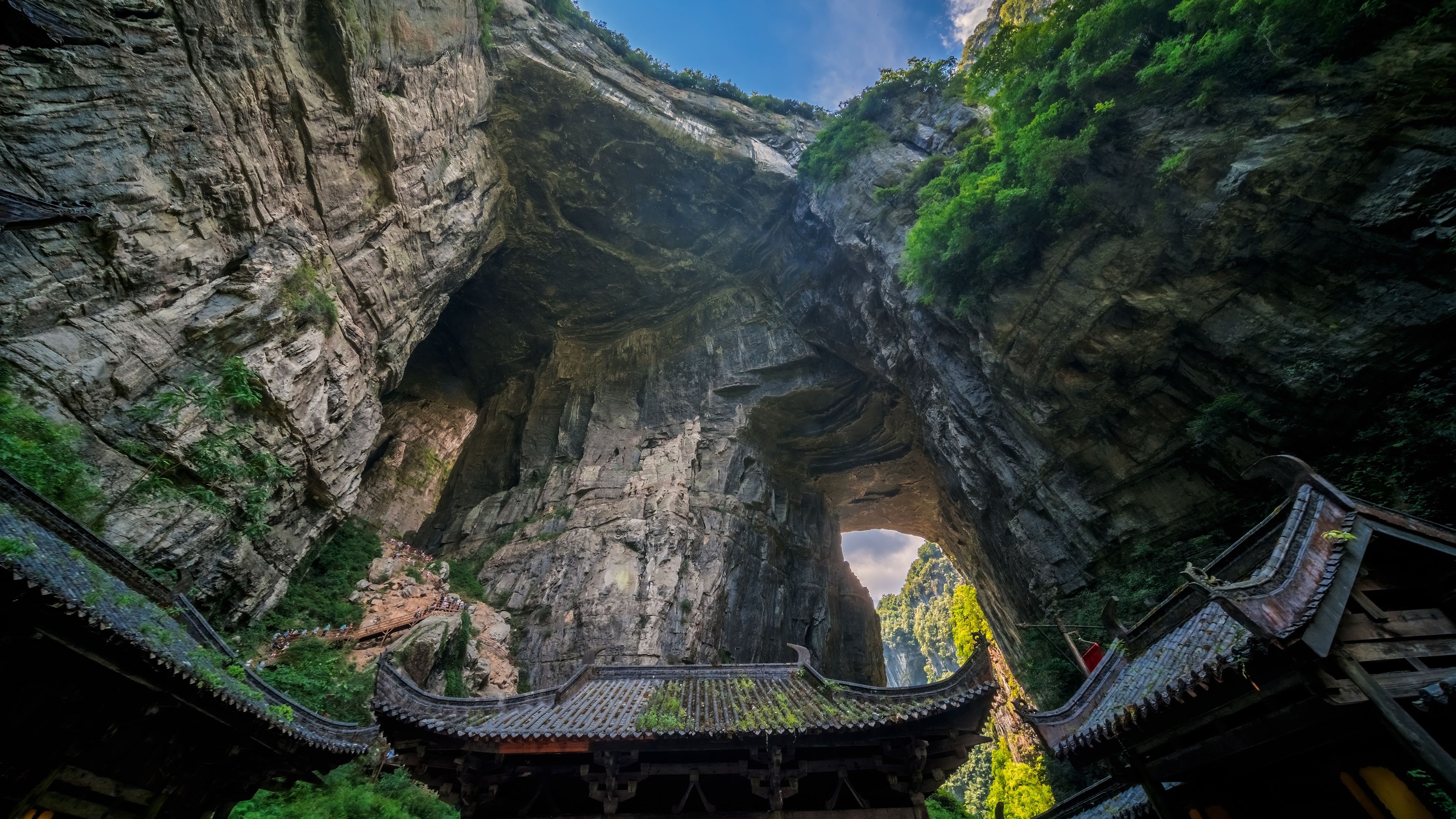 黑斑羚和红嘴牛椋鸟，南非
