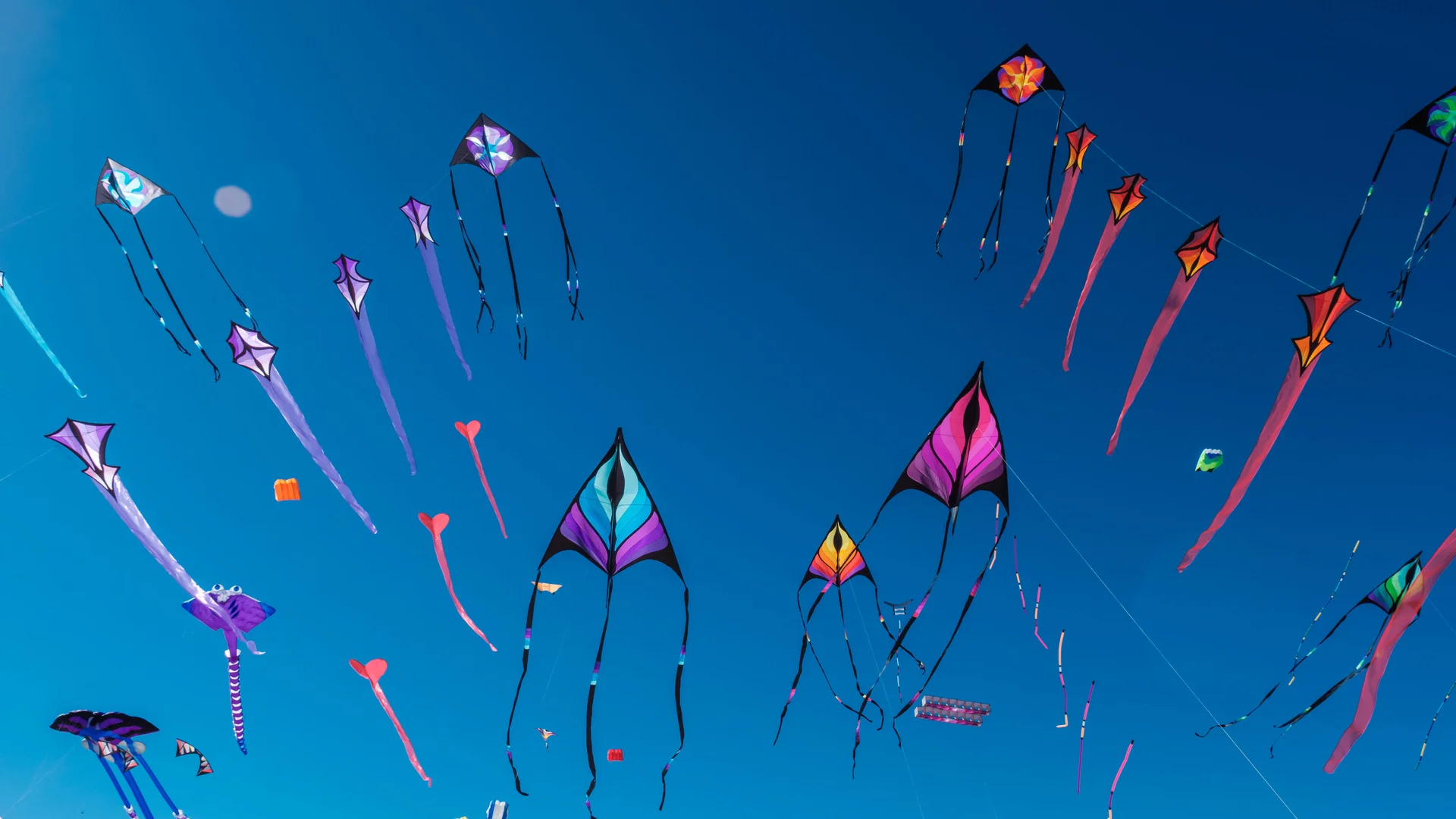 Adelaide International Kite Festival, Australia