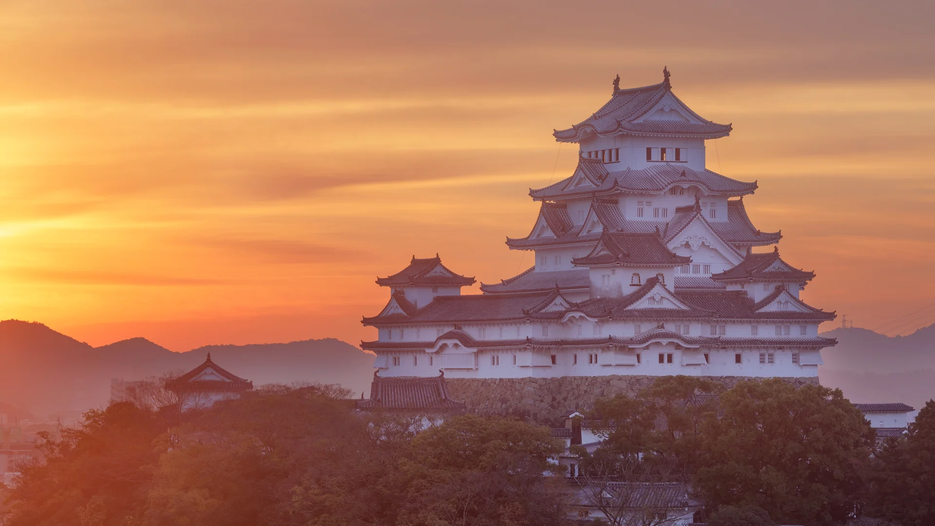 奇迹湖附近池塘里的北美海狸，德纳里国家公园，阿拉斯加州，美国