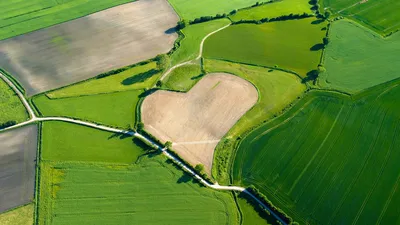 Aerial view of a heart-shaped field in Trittau, Germany
