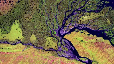 The Lena Delta Wildlife Reserve in Siberia, Russia