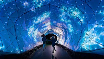 'PJ the Port Jackson Shark' light sculpture at Taronga Zoo in Sydney, Australia