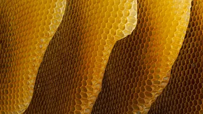 Honeycombs