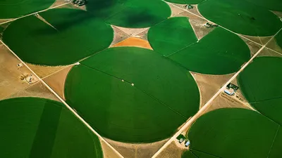 Circular agricultural fields in Morgan County, Colorado