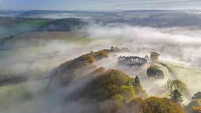 Blanket octopus in Palm Beach, Florida