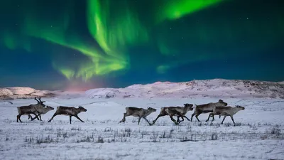 Santa's giant sleigh and mailbox, Ilulissat, Greenland