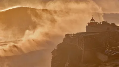 American bison in Yellowstone National Park, Wyoming