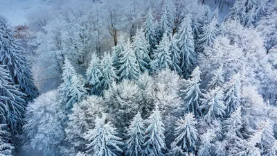 Borovets, Bulgaria
