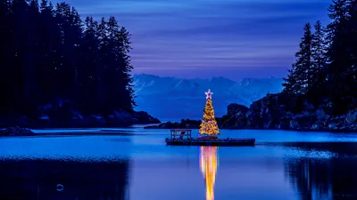 Amalga Harbor, Alaska