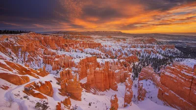 Hoodoos at Bryce Canyon National Park, Utah