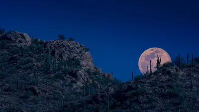 Moon rising, Tucson, Arizona