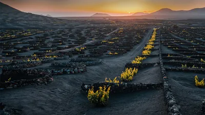 立石公园，神奈川县，日本