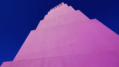黑翅长脚鹬, 法国