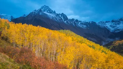 里奇韦附近斯内弗尔斯山脚下的秋色, 科罗拉多州, 美国